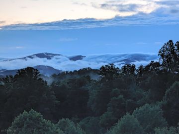 Fog moving in