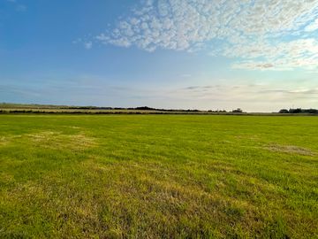 Grassy pitches