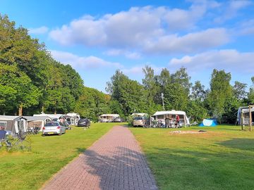 Camping pitches