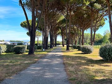 Chemin pour placement et balade