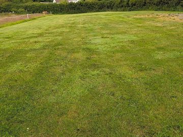 Grass pitches