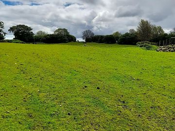 View of the site