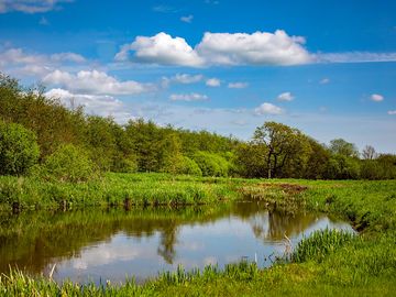 Pond next to the car park