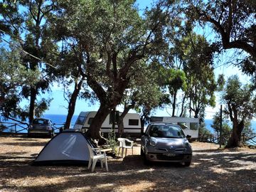Shady pitches beneath the trees