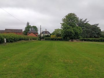 Well-mown grass
