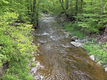 The beautiful creek bordering the property.