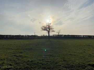 A warm spring day