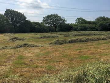 Jeffreyston field