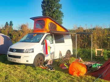 Forest campervan pitches