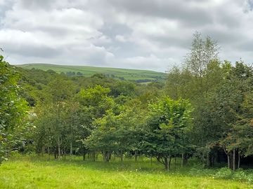 Green views