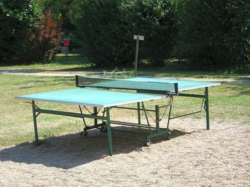 Ping pong table
