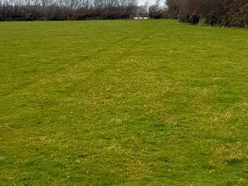 Camping field