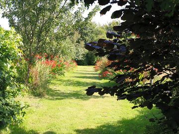 Orchard avenue