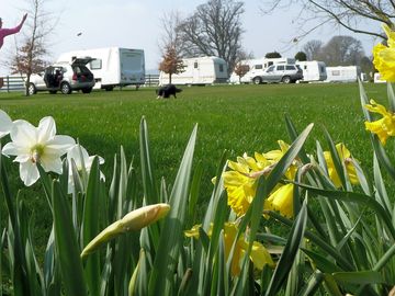 Spring at last