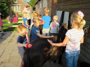 Looking after the ponies