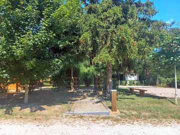 Around the site
