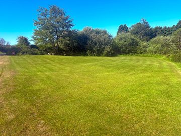 Non-electric pitches backed by trees