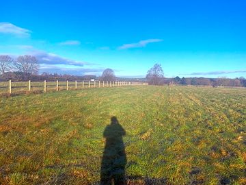 Blue skies