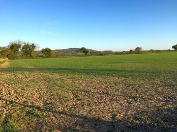 Views to beacon hill