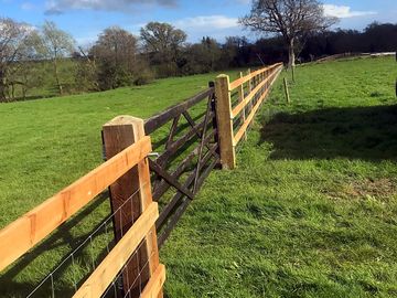 Grass pitches