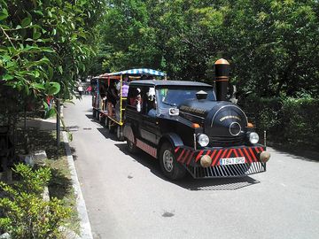 Tourist train