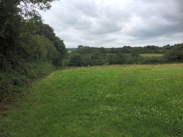 Easy access to footpaths and cycle trails