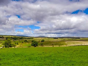 View from the site