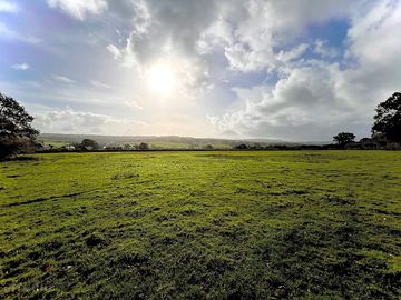 Farm view