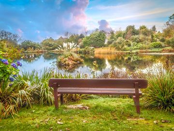 Space to relax and enjoy the lake view