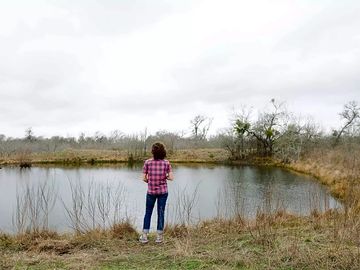 The pond