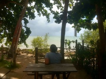 View from the site restaurant