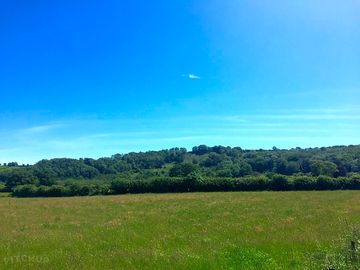 156 acres to enjoy