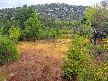 View of the site