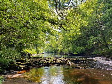 Visitor image of the river