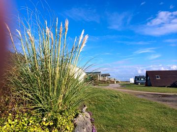 Looking towards the pitches on shoreside