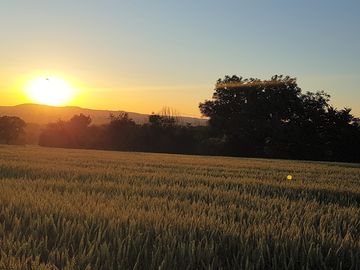Sunsets at the site