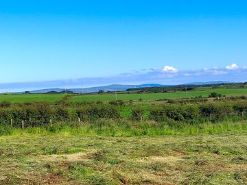 Site views