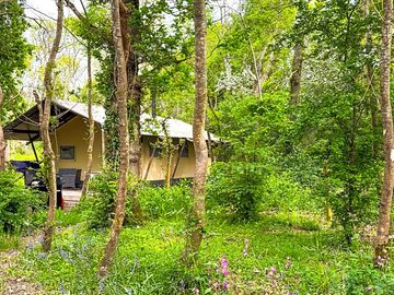 Private setting in lush woodland