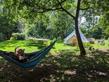 Guest relaxing in a hammock