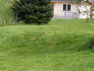 The site