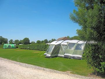 Hedges and trees around the pitches