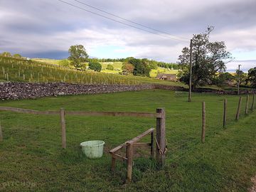 Spacious and peaceful