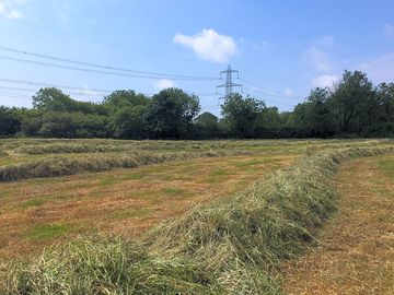 Jeffreyston field