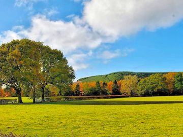 Unwind with calm surroundings
