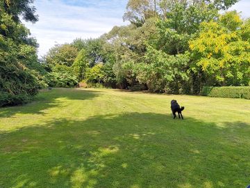 View of the site; dogs are welcome
