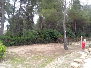 Spacious pitches among the trees
