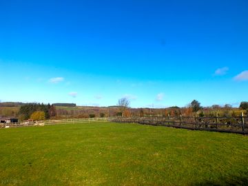 Lower meadow
