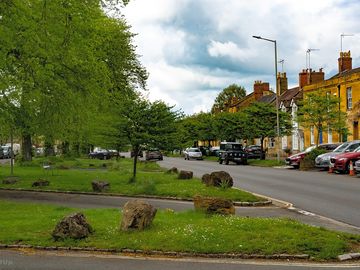 Green trees in the centre of moreton