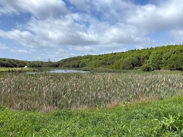 Beautiful setting at balmule valley fishery