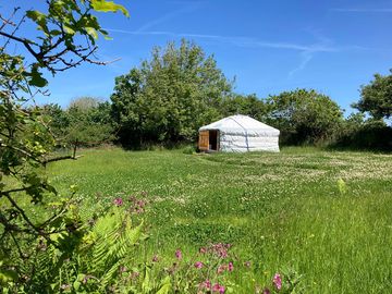 Yurt on a secluded grass pitch